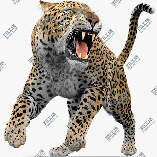 images/goods_img/20210312/3D Leopard (Animated-Rigged-Fur) model/1.jpg